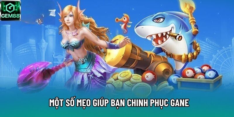 Một số mẹo giúp bạn chinh phục gane Một số mẹo giúp bạn chinh phục gane